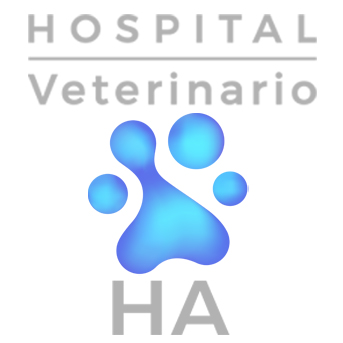 Hospital Veterinario H.A